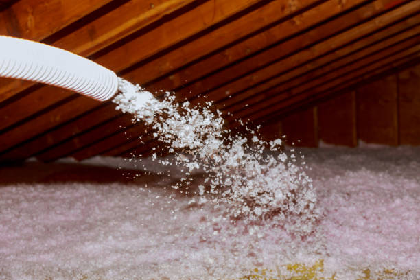 Best DIY Insulation Kits and Guidance in Big Bass Lake, PA