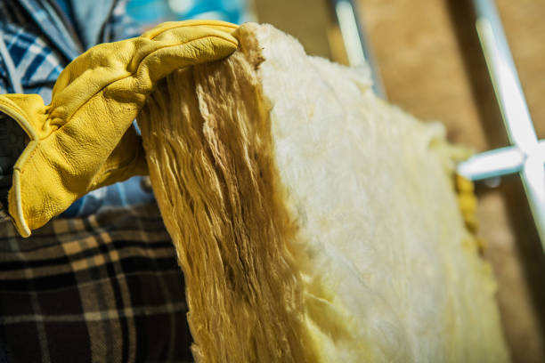 Best Eco-Friendly Insulation in Big Bass Lake, PA
